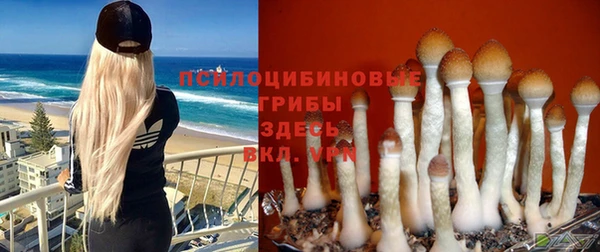 кокс Дмитровск